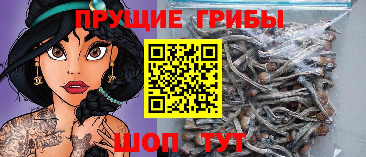 Псилоцибиновые грибы прущие грибы Белогорск