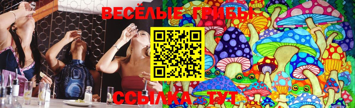 Псилоцибиновые грибы Psilocybine cubensis  Вход с VPN  Белогорск 